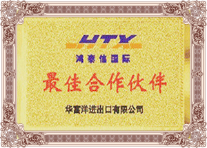 中港运输最佳伙伴