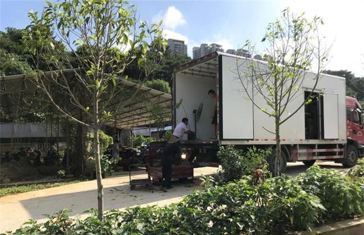 化妆品中港物流通关指南：破解跨境运输的隐形门槛